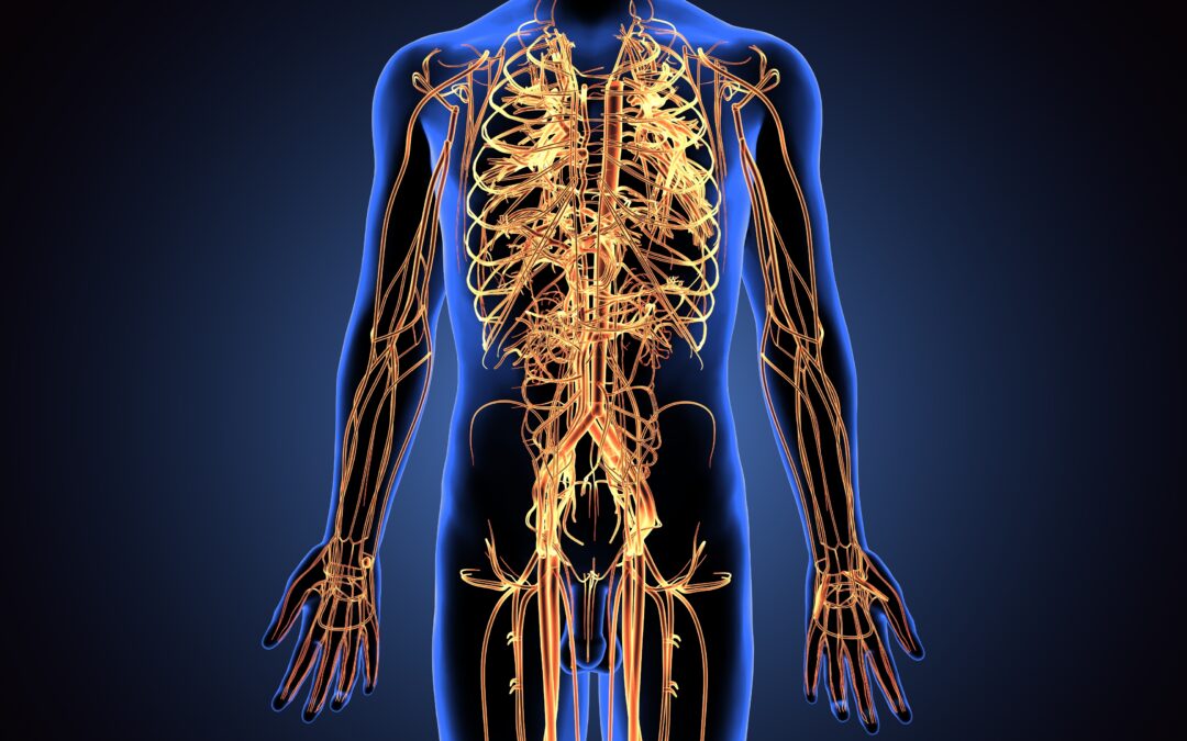 Neurological-Based Pain Therapy and Hybrid Recovery