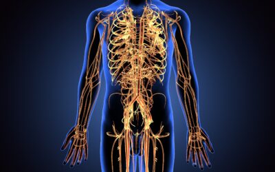 Neurological-Based Pain Therapy and Hybrid Recovery