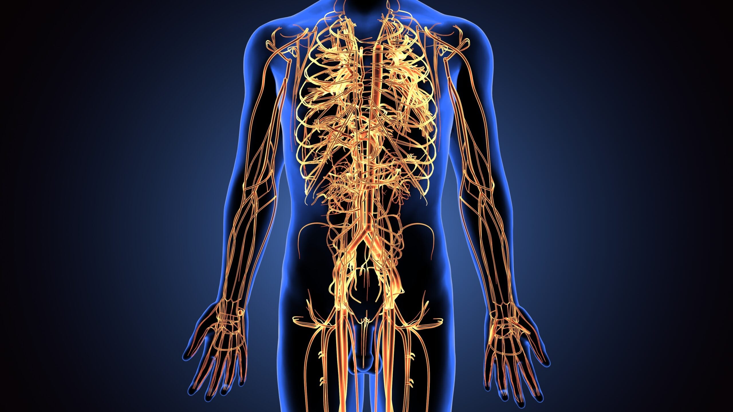 Neurological-Based Pain Therapy and Hybrid Recovery